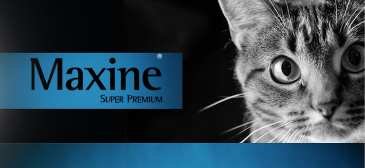 Maxine Cat