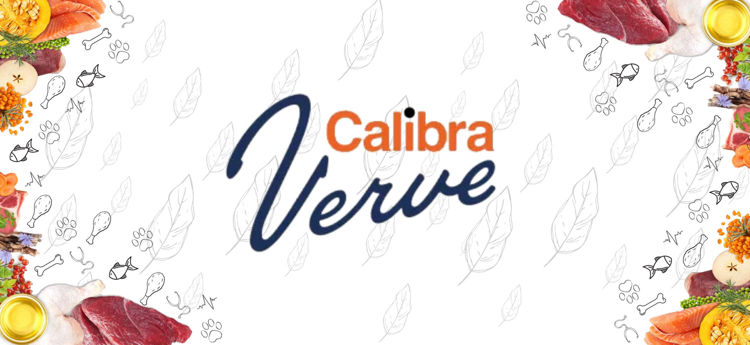 Calibra Gato