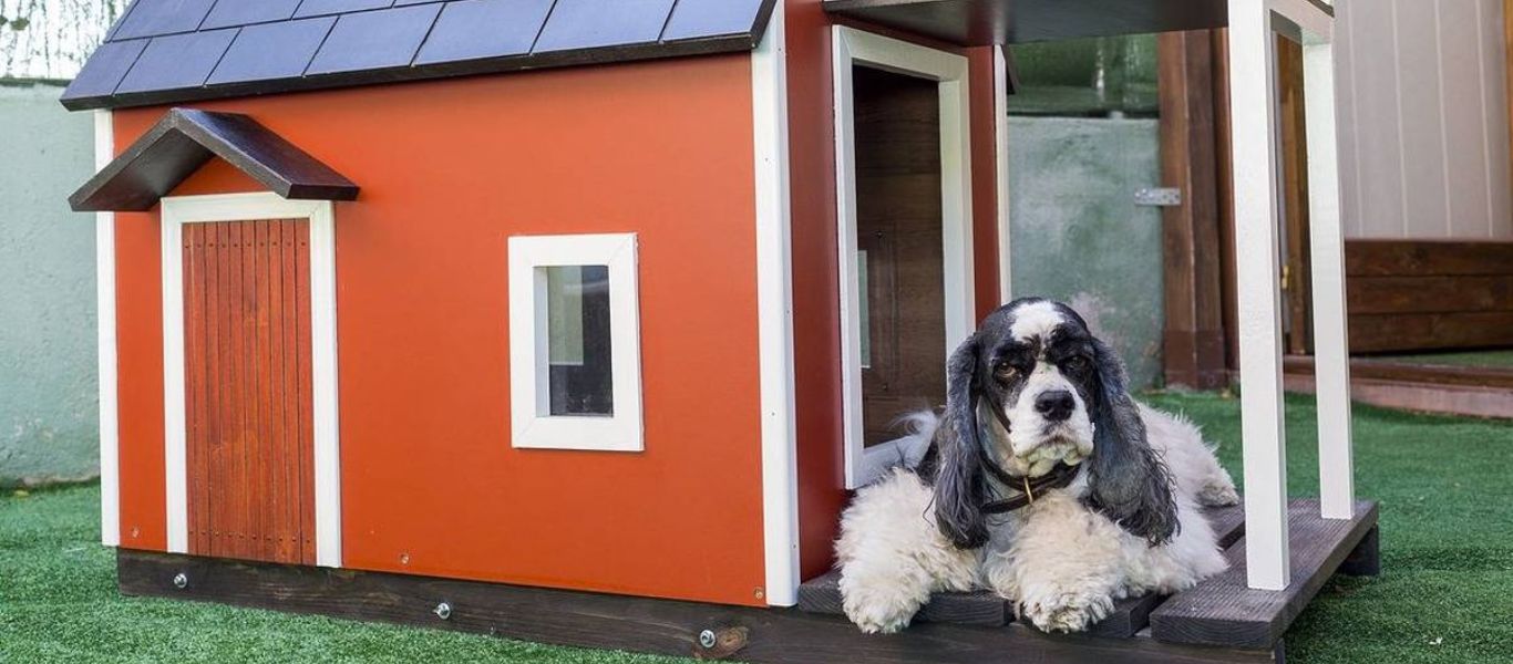 Casas Perros