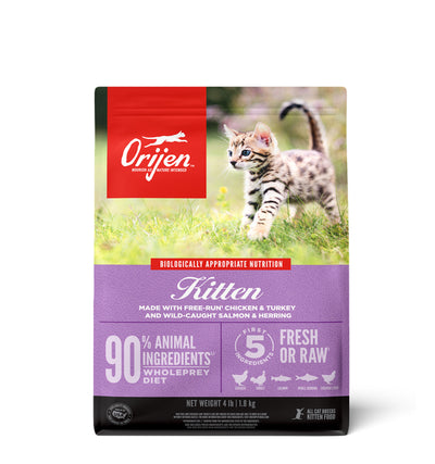 Origin Kitten