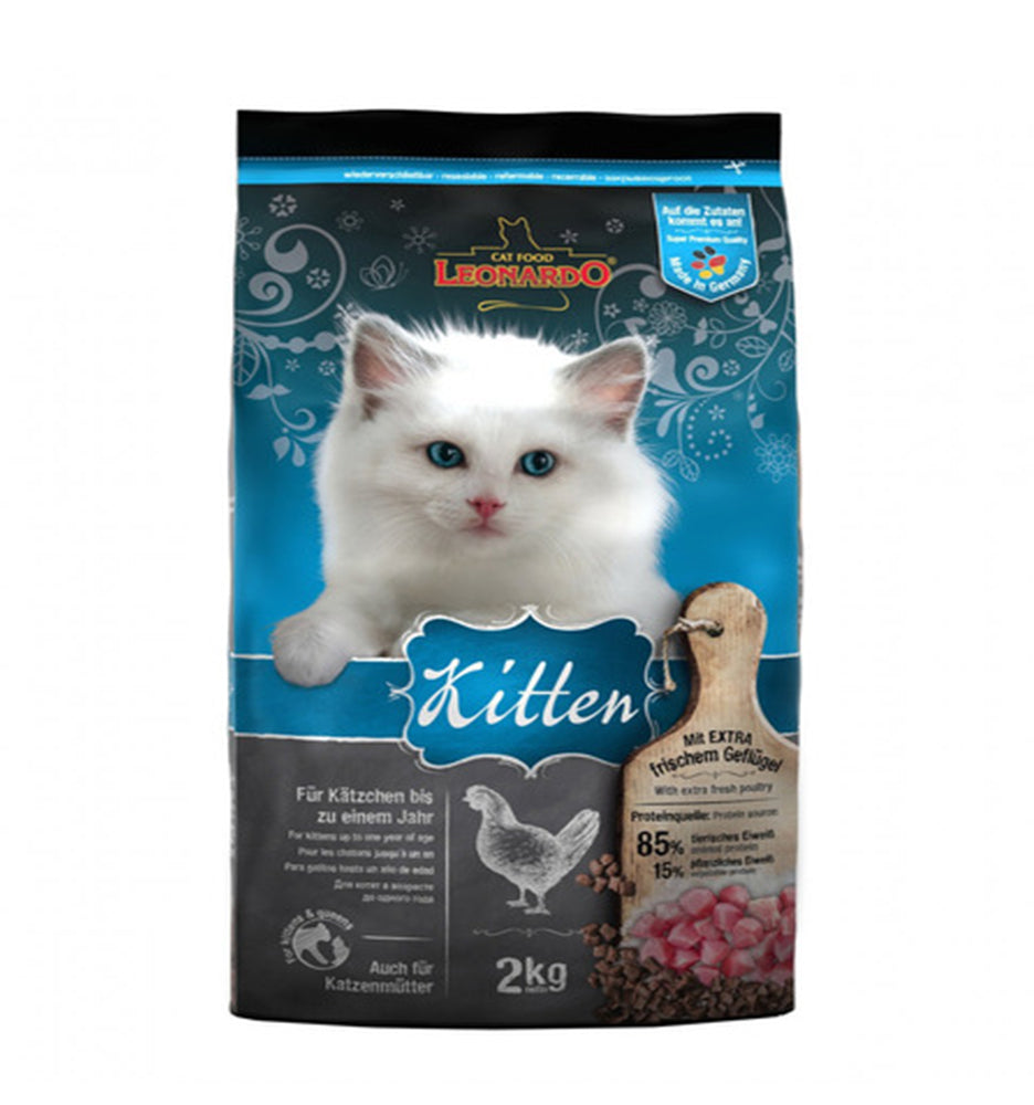Leonardo Kitten