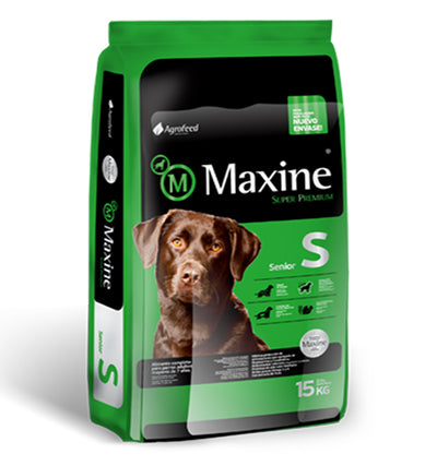 Maxine Dog Senior