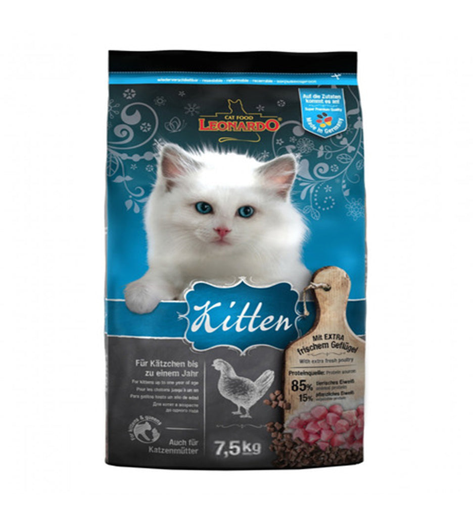 Leonardo Kitten